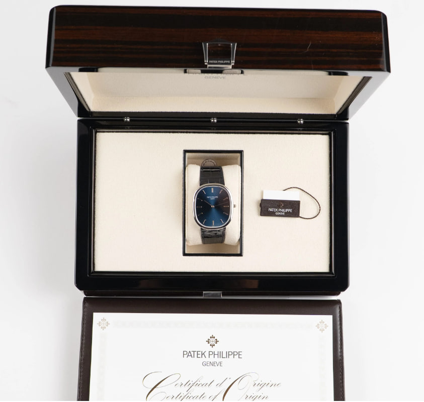 Patek Philippe view 5